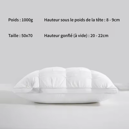 Oreiller prestige absolu