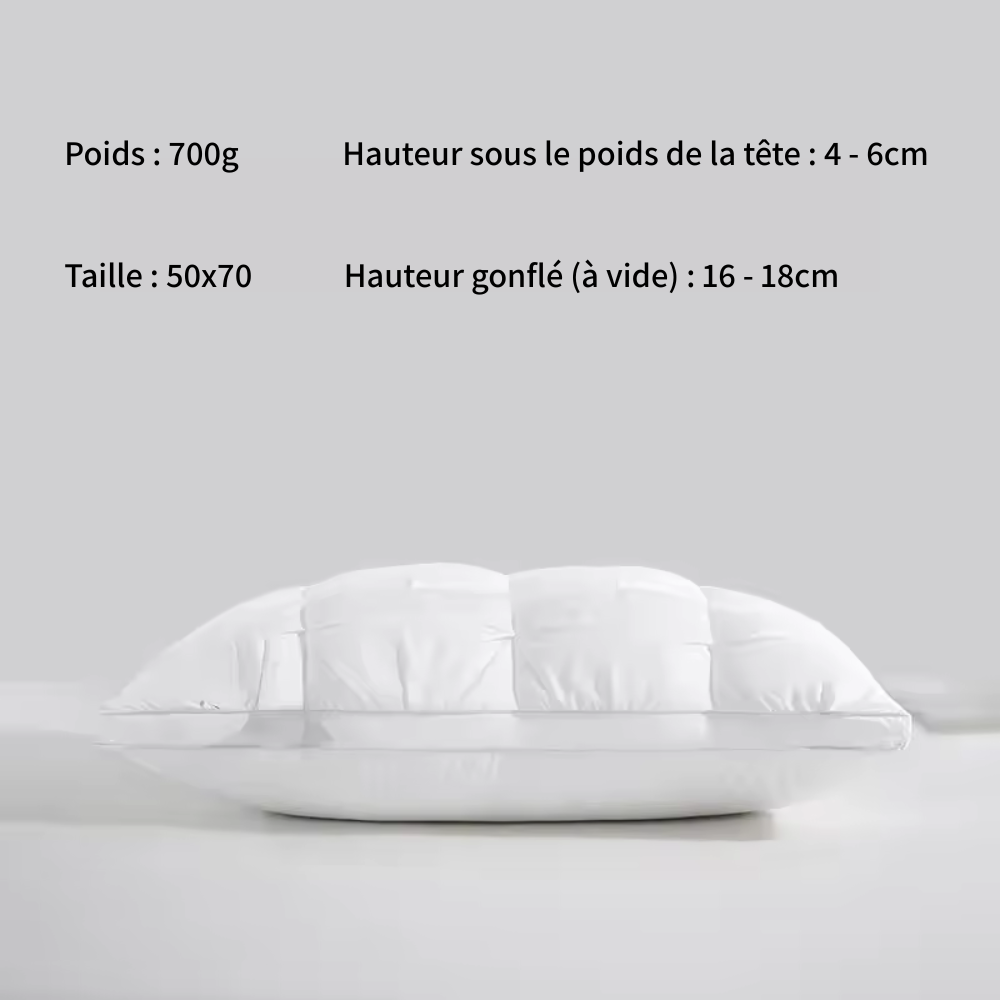 Oreiller prestige absolu