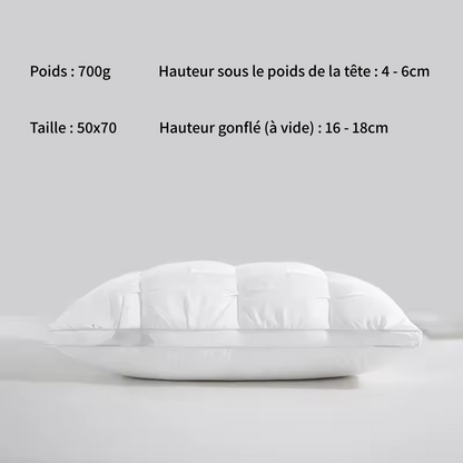 Oreiller prestige absolu